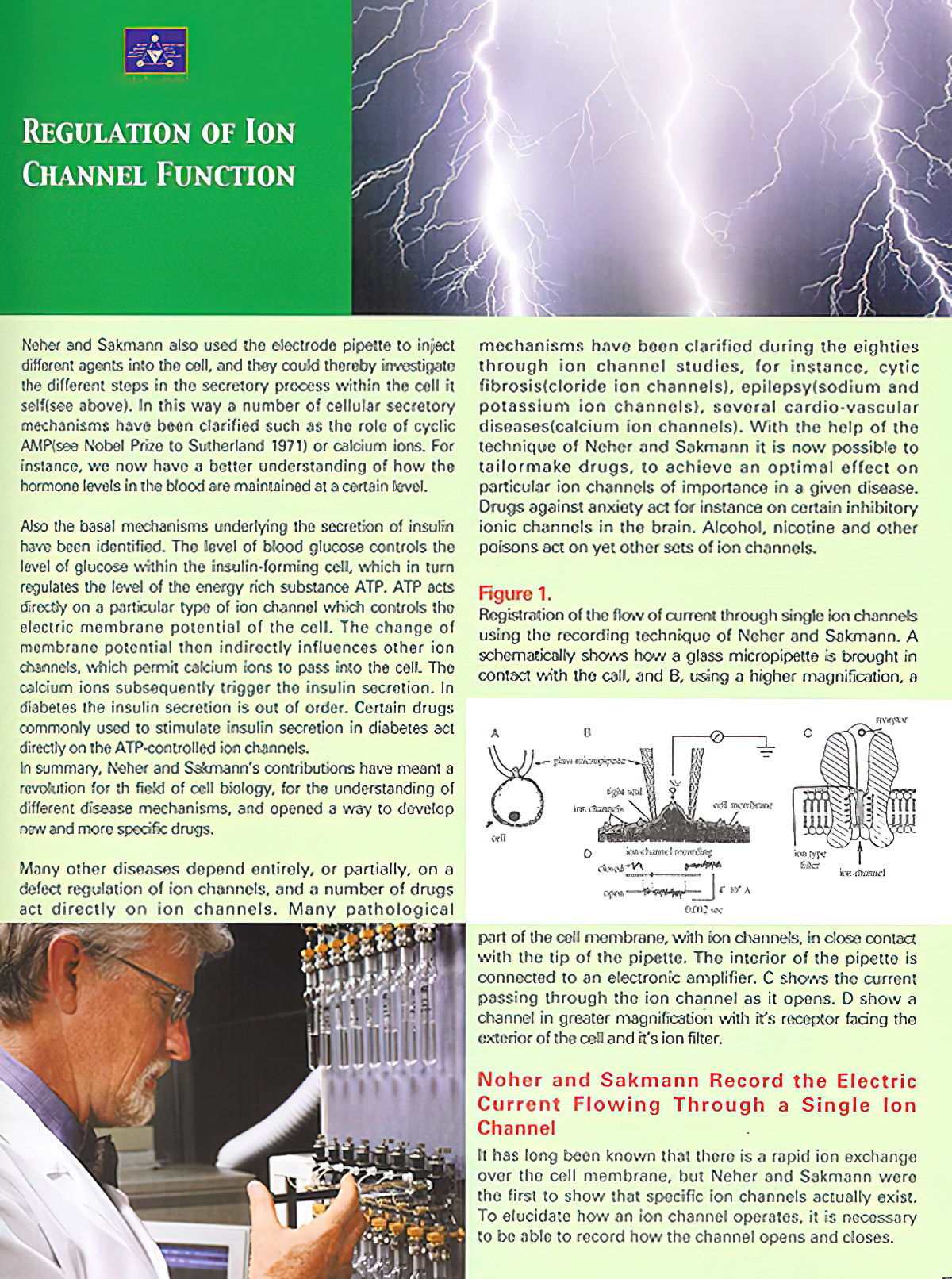 Regulation of Ion Channel Function